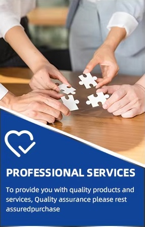 Professional Services